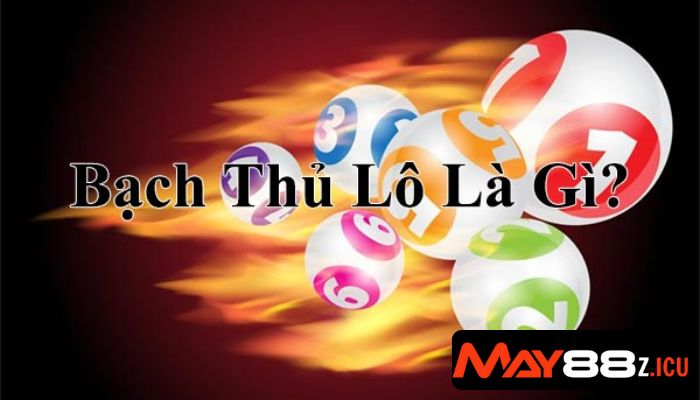 bạch thủ lô miền Bắc
